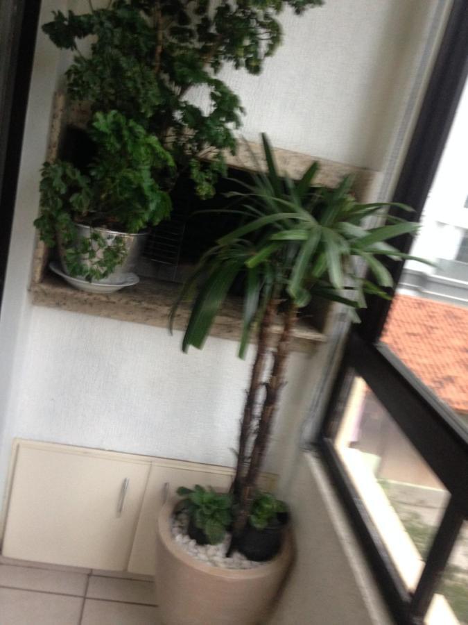דירות Florianópolis Jurere מראה חיצוני תמונה